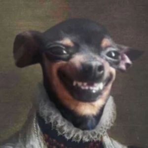 Meet your Posher, Mason